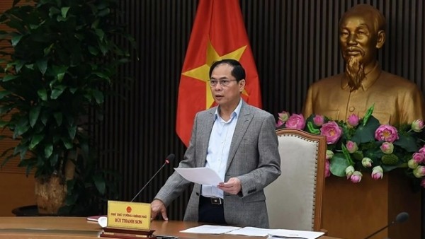 Deputy PM Bui Thanh Son urges diplomatic measures conducive to US trade policy adjustments
