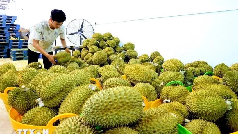 Ministry of Agriculture and Environment launches residue monitoring programmes: Accountable Value Chain