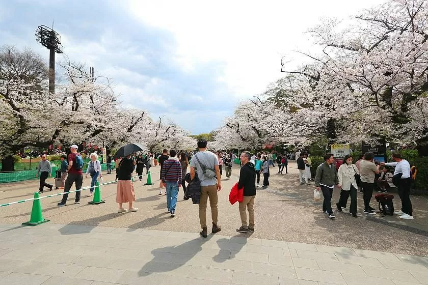 What Asia can learn from Europe’s overtourism crisis — Before it’s too late