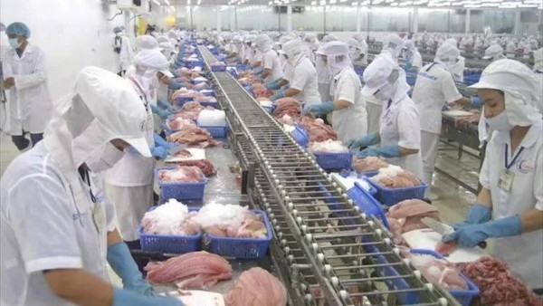 Vietnam takes strategic action to protect seafood exports amid US tariff