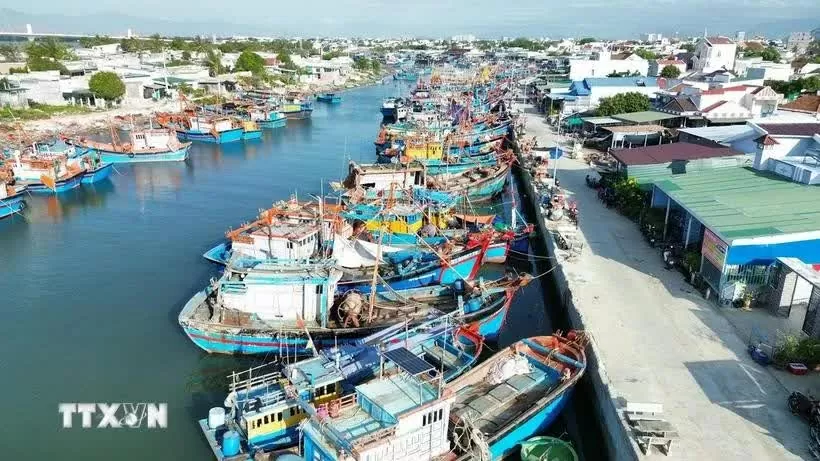 Binh Dinh ramps up fight against IUU fishing Binh Dinh ramps up fight against IUU fishing