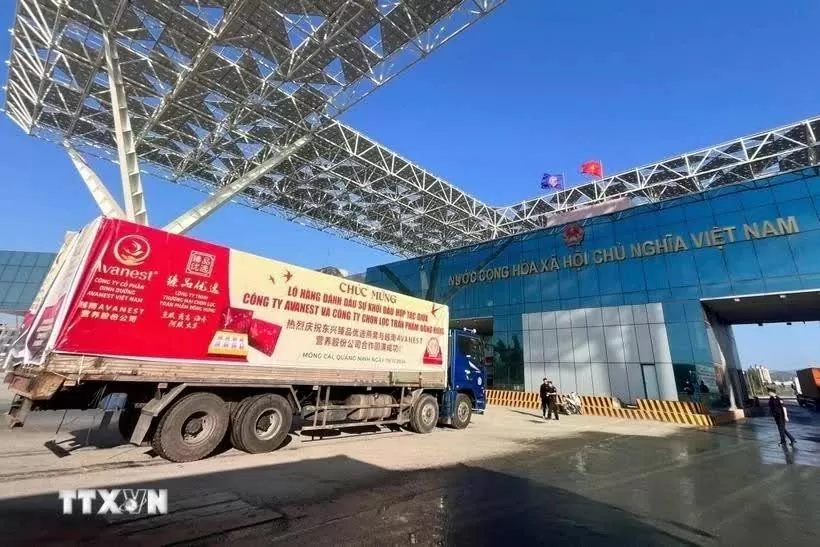 Vietnam-China economic and trade cooperation maintains strong growth momentum Vietnam-China economic and trade cooperation maintains strong growth momentum