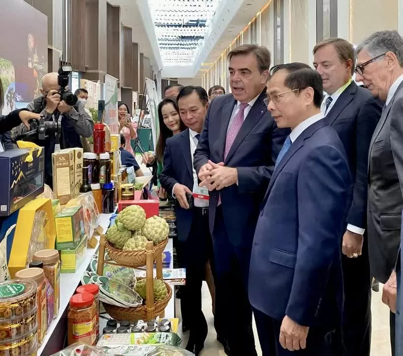 A message of Viet Nam’s determination and efforts for rapid and sustainable development A message of Viet Nam’s determination and efforts for rapid and sustainable development