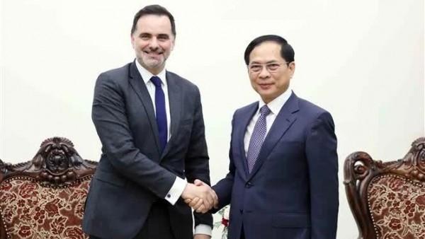 Vietnam wishes to further deepen their friendship and multi-faceted cooperation with France: Deputy PM