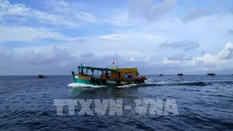 Kien Giang intensifies fight against IUU fishing to have EC’s “yellow card” removed