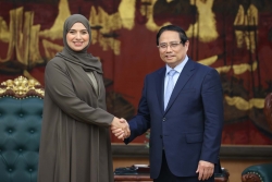 4th P4G Summit: PM Pham Minh Chinh receives Minister of Climate Change and Environment of the UAE