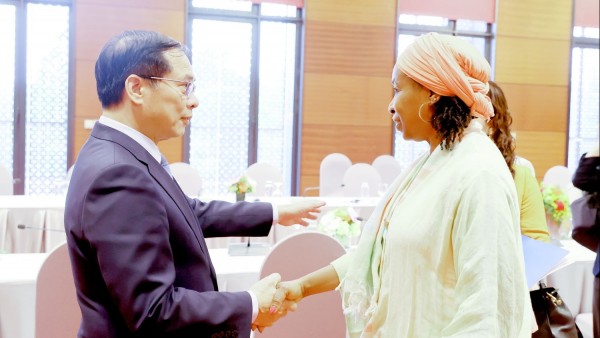 4th P4G Summit: Deputy PM, FM Bui Thanh Son receives Deputy to UNIDO Director General