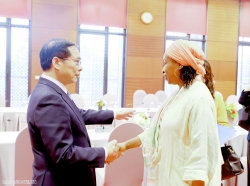 4th P4G Summit: Deputy PM, FM Bui Thanh Son receives Deputy to UNIDO Director General