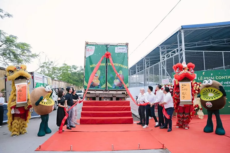 Mở container Kiwi Zespri.