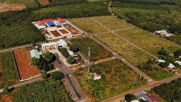 Binh Phuoc's Bu Dang district marks 50 years of transformation from battlefield into land of prosperity