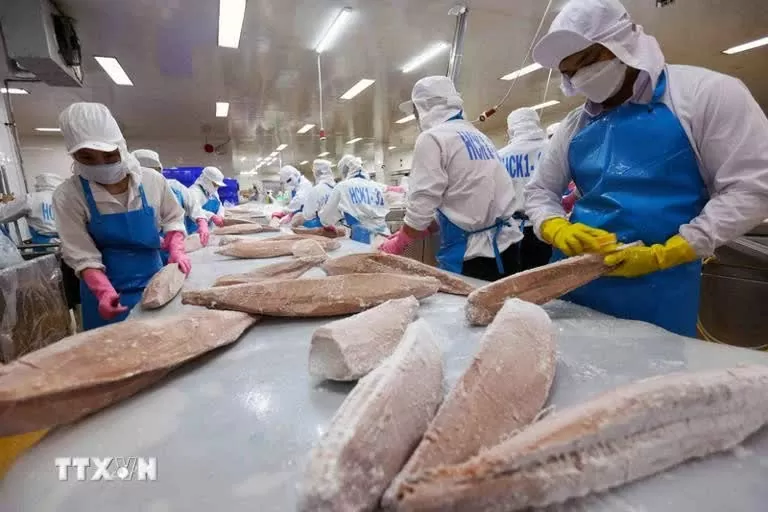Vietnam among Singapore’s top four seafood suppliers