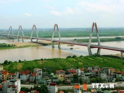 Vietnam regarded as one of five 'tiger cup economies' in the region: Expert