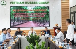 Vietnam, Cambodia enhance investment cooperation in Kampong Thom