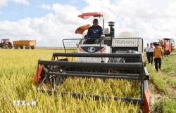 Vietnam stands in support of Cuba