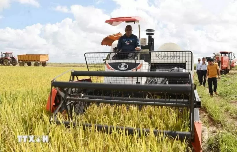 Vietnam stands in support of Cuba's efforts to ensure food security