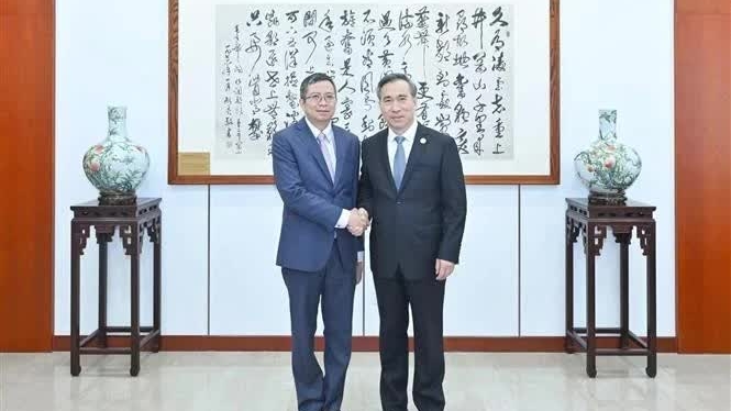 Vietnam, China to deepen trade promotion cooperation  and networking activities: Ambassador