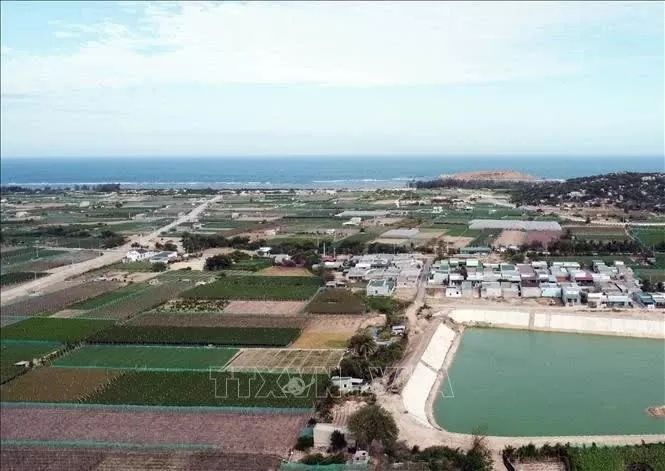 The area planned to build the Ninh Thuan 2 nuclear power plant in Ninh Hai district, Ninh Thuan province. (Photo: VNA) The area planned to build the Ninh Thuan 2 nuclear power plant in Ninh Hai district, Ninh Thuan province. (Photo: VNA)