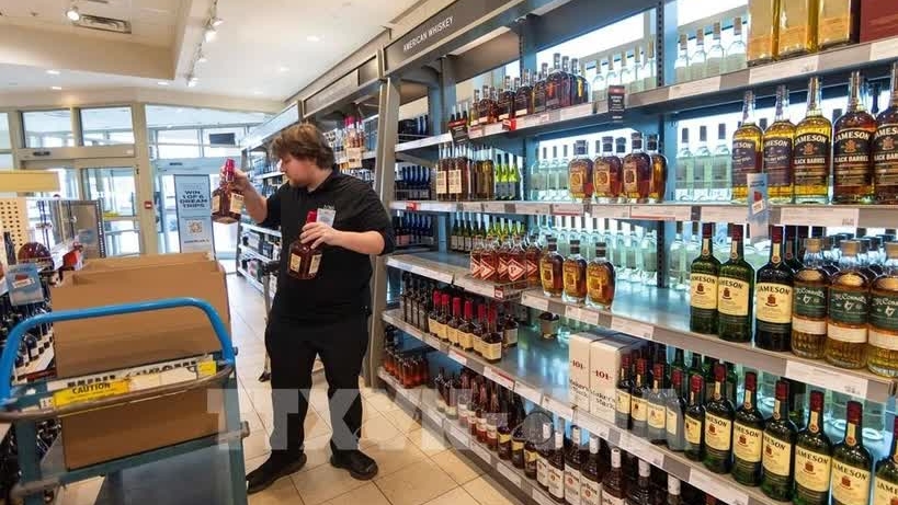 Vietnamese businesses tap into emerging market trends in Canada