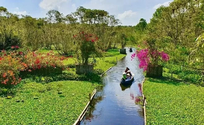 Tra Su cajuput forest in Tinh Bien district, An Giang province. (Photo: VNA)