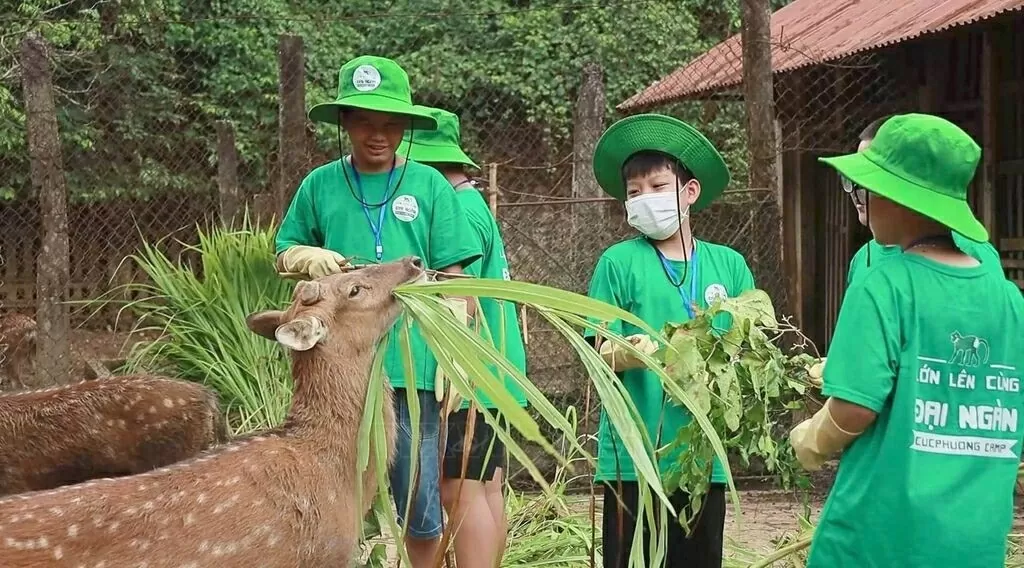 Children feed deer as part of the Cuc Phuong Camp 2024, an experiential programme in Cuc Phuong National Park. (Photo: VNA)