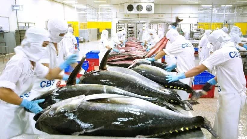 EC delays Vietnam’s seafood inspection until year end: MAE