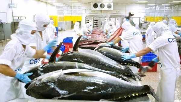 EC delays Vietnam’s seafood inspection until year end: MAE