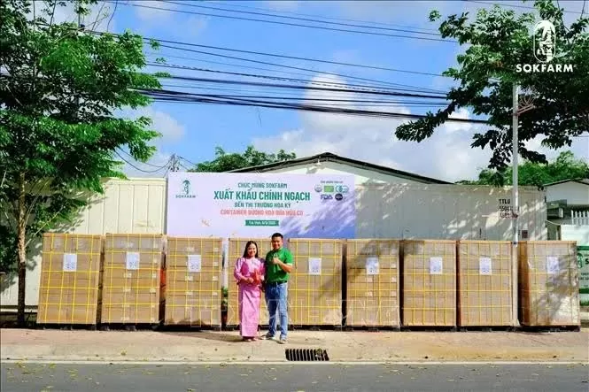 First batch of Tra Vinh’s organic OCOP coconut sugar exported to US First batch of Tra Vinh’s organic OCOP coconut sugar exported to US