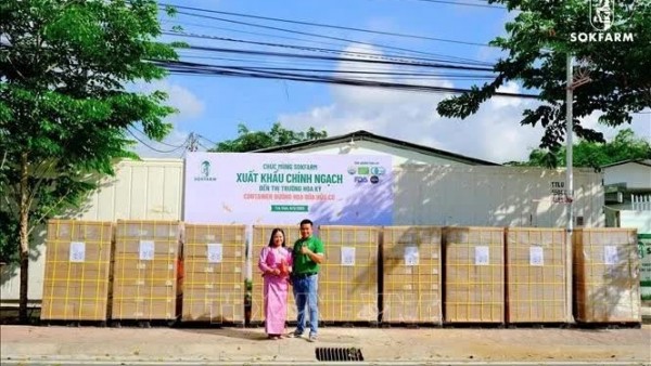 Tra Vinh province exports first batch of organic OCOP coconut sugar to the US