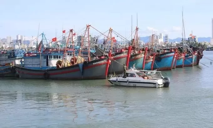 Khanh Hoa tightens control of fishing vessels at sea ports Khanh Hoa tightens control of fishing vessels at sea ports