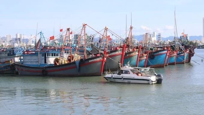 South-central province of Khanh Hoa steps up inspection of fishing vessels