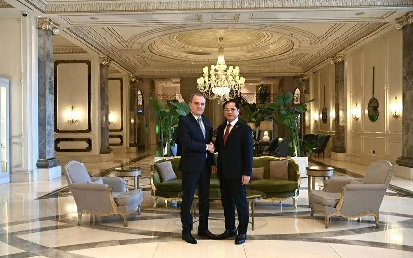 Deputy PM, FM Bui Thanh Son, Azerbaijani FM Jeyhun Bayramov hold meeting in Baku