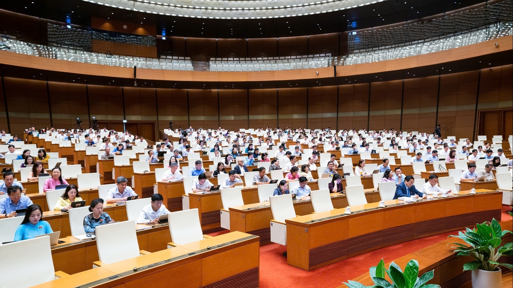 National Assembly adopts resolution in support of private sector, provided free digital platforms