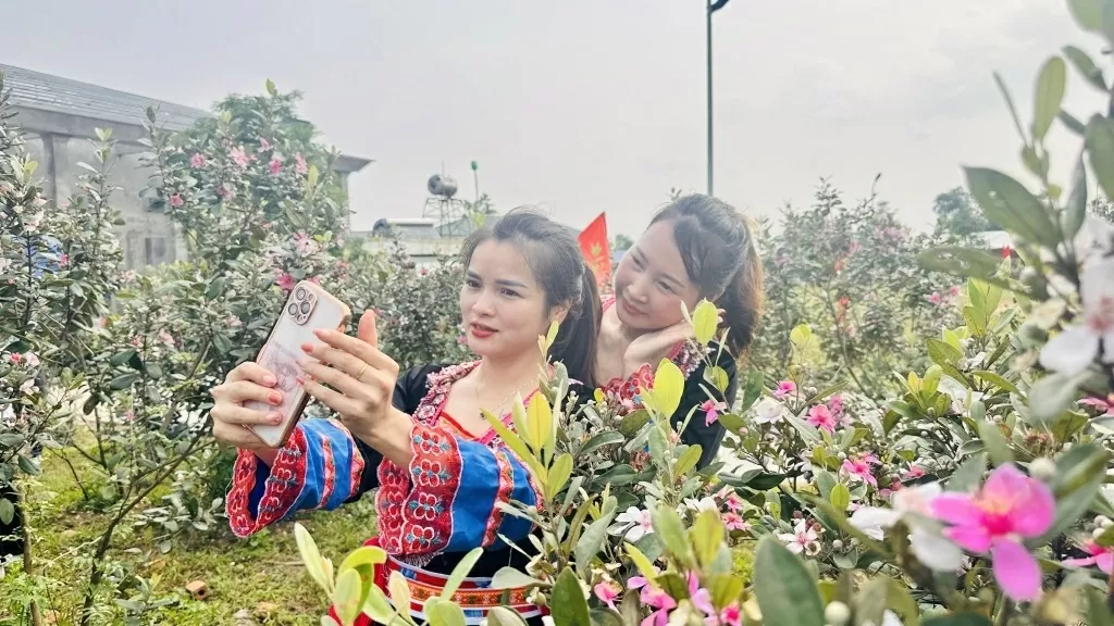 Sim flower festival to open Mong Cai on May 17-18