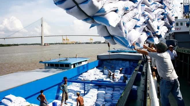Ministry of Industry and Trade to boost rice trade through 2030 with new measures