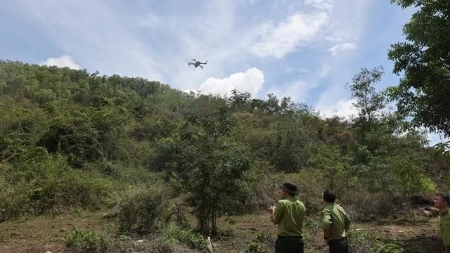 Technology empowers Ba Ria-Vung Tau in forest protection efforts