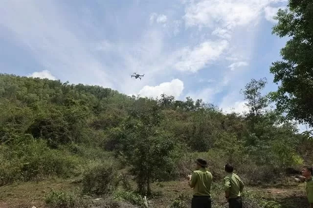 Forest rangers in Ba Ria – Vung Tau Province use a flycam to detect fires, forest encroachment and illegal logging. (Photo: VNA)