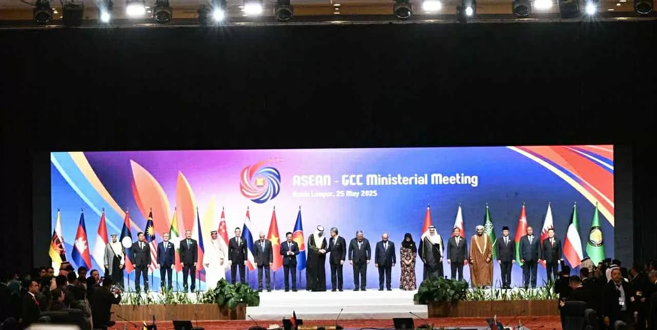 Deputy PM, FM Bui Thanh Son called on ASEAN, GCC to strengthen ties for global stability Deputy PM, FM Bui Thanh Son called on ASEAN, GCC to strengthen ties for global stability