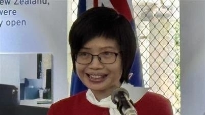 ASEAN 2025’s theme “Inclusivity and sustainability” -  new strategic path: Ambassador Ton Thi Ngoc Huong