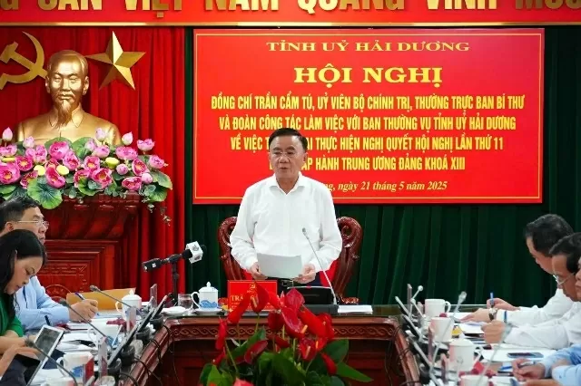 Hai Duong completes major workload in streamlining organizational structure
