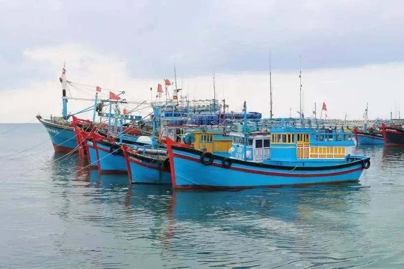 Ben Tre cracks down on illegal fishing to lift EC’s yellow card warning