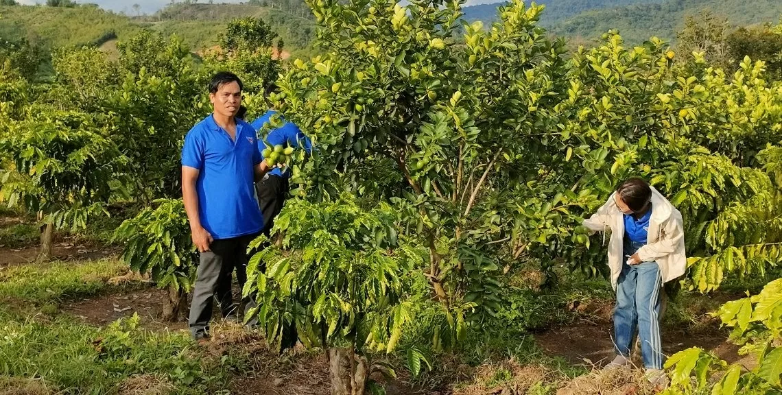 Tình hình kinh tế-xã hội tại Liêng S'rônh ngày càng khởi sắc nhờ sự hỗ trợ, quan tâm kịp thời và đầy đủ từ các cấp chính quyền. (Nguồn: Huyện ủy Đam Rông) Tình hình kinh tế-xã hội tại Liêng S'rônh ngày càng khởi sắc nhờ sự hỗ trợ, quan tâm kịp thời và đầy đủ từ các cấp chính quyền. (Nguồn: Huyện ủy Đam Rông)