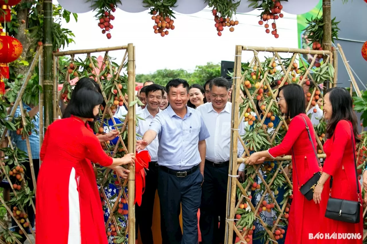 Boosting the brand of Thanh Ha lychees: A proud symbol of the creative and industrious spirit of Hai Duong’s people Boosting the brand of Thanh Ha lychees: A proud symbol of the creative and industrious spirit of Hai Duong’s people