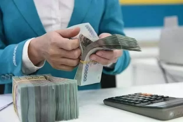 Reference exchange rate down 8 VND at week’s beginning