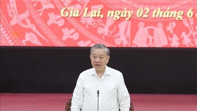 Merger to turn Gia Lai into a growth pole of Central-Central Highlands region: General Secretary To Lam