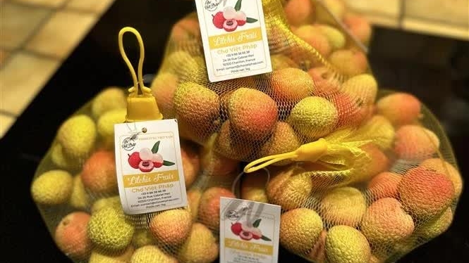 Vietnam exports first batch of this year's crop lychees to France