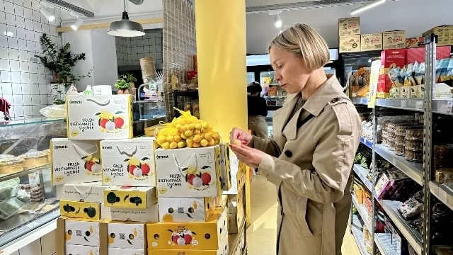 First Thanh Ha lychees from Hai Duong arrive in Paris, marking new chapter for Vietnam's agricultural exports