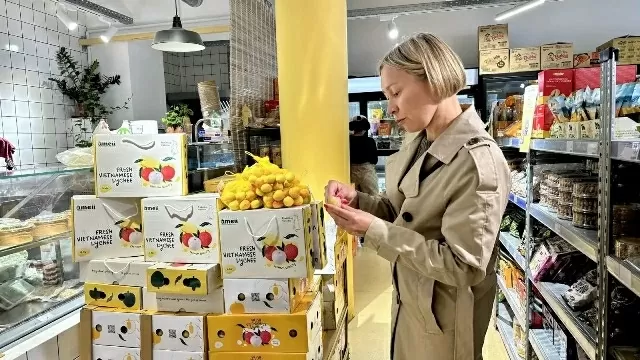 First Thanh Ha lychees from Hai Duong arrive in Paris, marking new chapter for Vietnam's agricultural exports