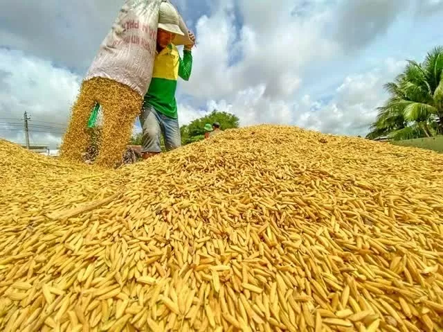 Vietnam to export first batch of low-emission rice Vietnam to export first batch of low-emission rice