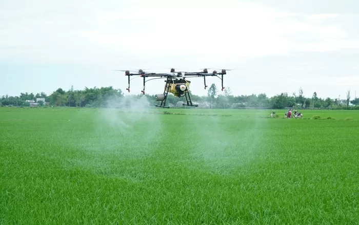 Bac Ninh promotes green, sustainable agricultural and rural development Bac Ninh promotes green, sustainable agricultural and rural development