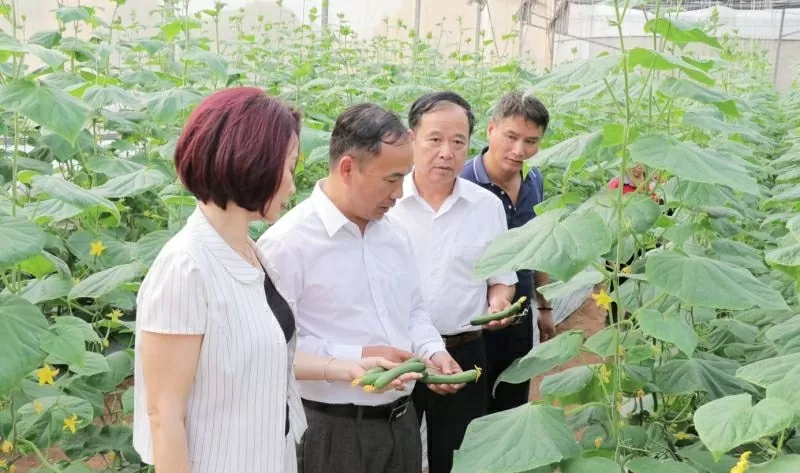 Bac Ninh promotes green, sustainable agricultural and rural development Bac Ninh promotes green, sustainable agricultural and rural development